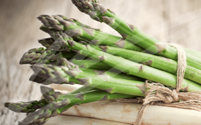Spargel-Gourmet-Menü